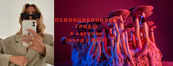 дурь Зеленокумск